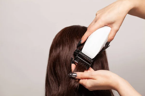 Hairdresser cut off split ends with a clipper, closeup