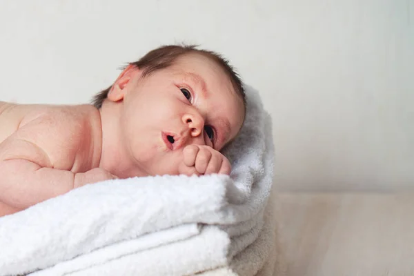 Cute Newborn Baby Two Week Old — Stock Photo, Image