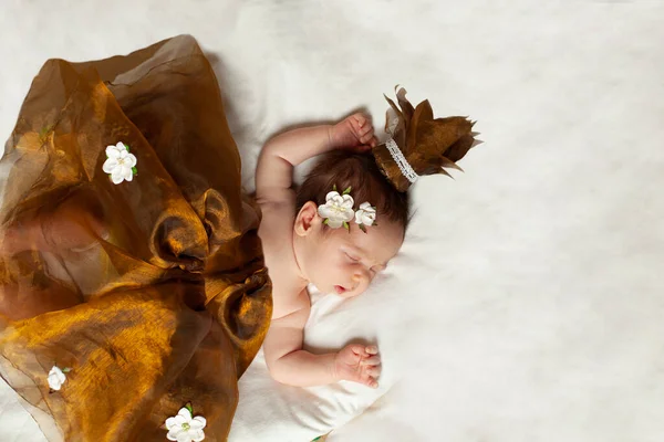 Aranyos Újszülött Hazudik Alszik Fénymásolási Tér Felülnézet — Stock Fotó