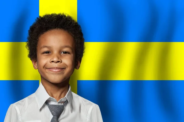 Svensk Pojke Flagga Sverige Bakgrund Begreppet Utbildning Och Barndom — Stockfoto