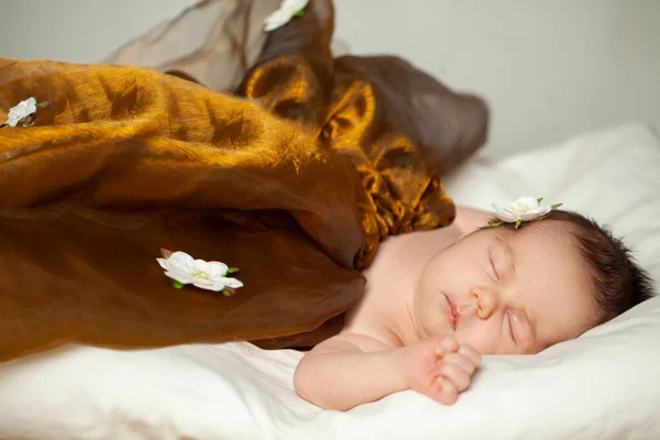 Aranyos Kislány Arany Ruhában Otthon Alszik — Stock Fotó