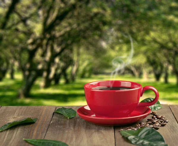 Taza de café fresco con granos de café en la mesa de madera — Foto de Stock