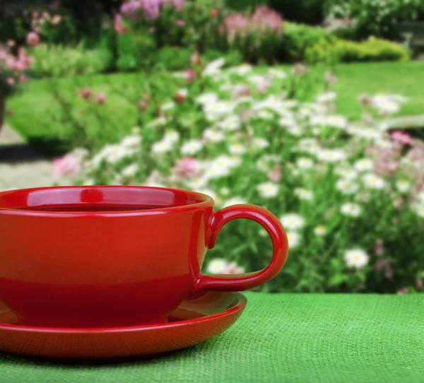 नैसर्गिक पार्श्वभूमीवर चहाचा कप — स्टॉक फोटो, इमेज