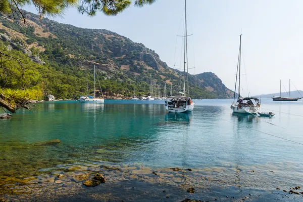 Yelkenli teknelerde sakin defne