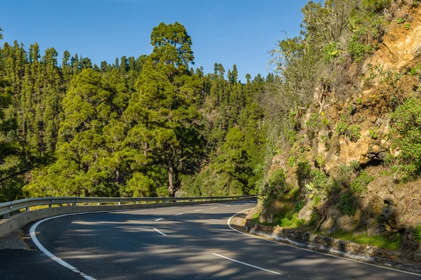 Strada di montagna girare — Foto Stock