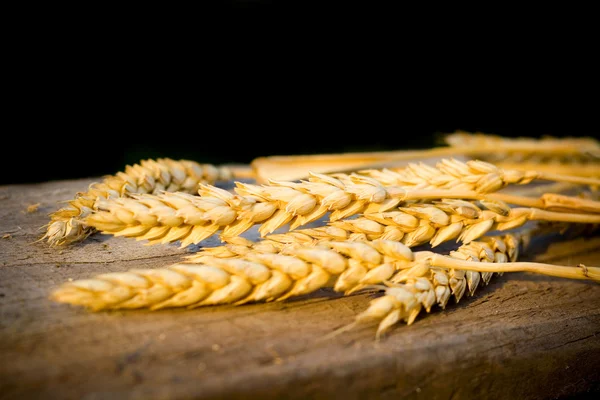 Trigo alimentos saudáveis — Fotografia de Stock