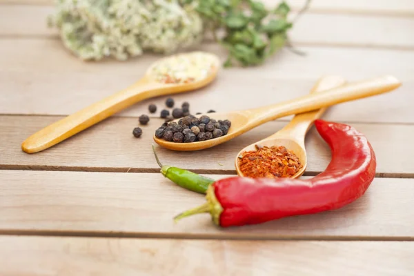 Spices on wooden spoons — Stock Photo, Image