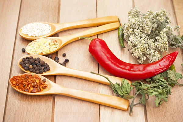 Spices on wooden spoons — Stock Photo, Image