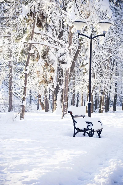 Beautiful details of winter park — Stock Photo, Image