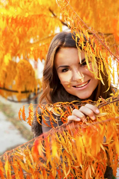 Bella ragazza in autunno foglie — Foto Stock