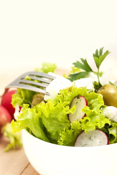 Grekisk sallad — Stockfoto