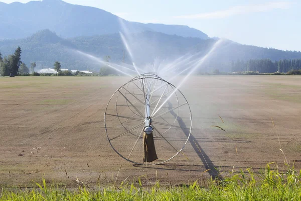 Irrigatie op een areaal van washington — Stockfoto