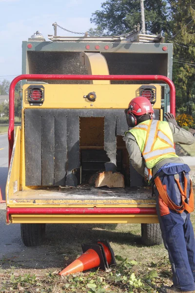 Fa aprító vagy a fa aprító ágaprító vagy a Woodchipper — Stock Fotó