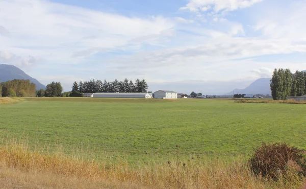 Canadas-Brotkorb — Stockfoto