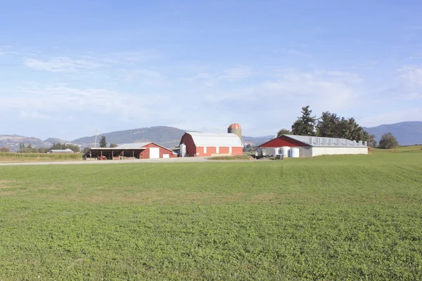 Ferme laitière canadienne moderne — Photo