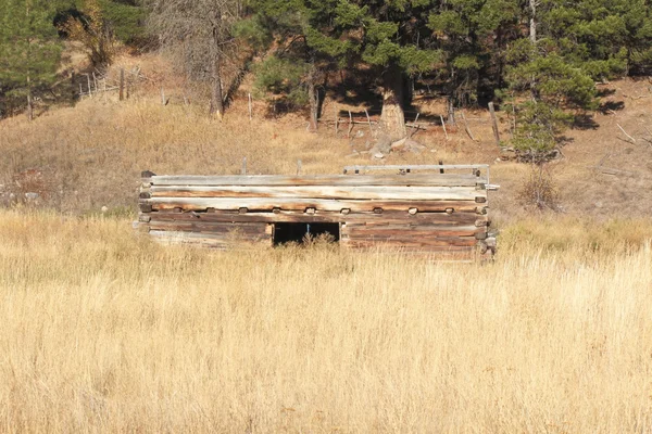 Une cabane abandonnée — Photo
