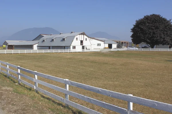 Livestock Corral — Stock Photo, Image