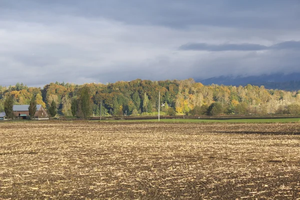 Autumn in the Fraser Valley — Stock Photo, Image