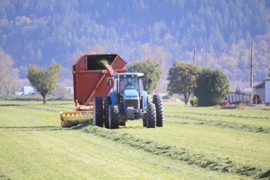 Harvesting Grass for Winter Feed clipart