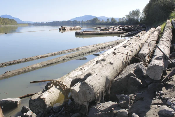 Fleuve côté Log Boom — Photo