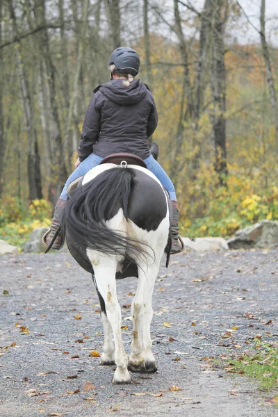 Narzędzi bezpieczeństwa dla jazda equestrian — Zdjęcie stockowe