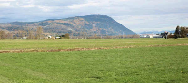 Kanadische ländliche Landschaft — Stockfoto