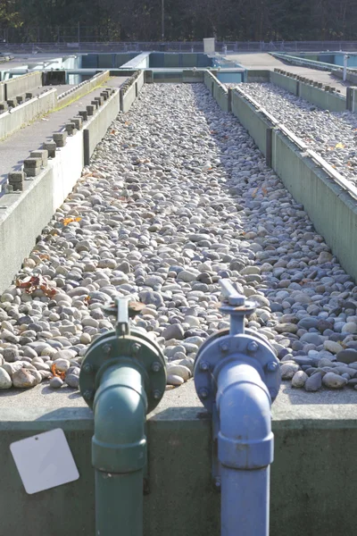 Tanque de retención de criadero de salmón — Foto de Stock