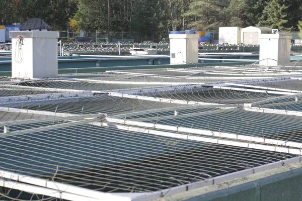 Safety Netting for Hatchery Holding Tanks — Stock Photo, Image