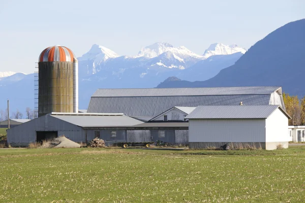 Agricultura numa região montanhosa — Fotografia de Stock