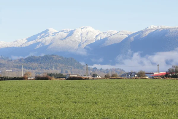 Terreni agricoli invernali — Foto Stock