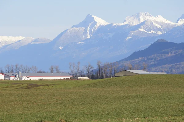 Valley Farm Land — Stock Photo, Image