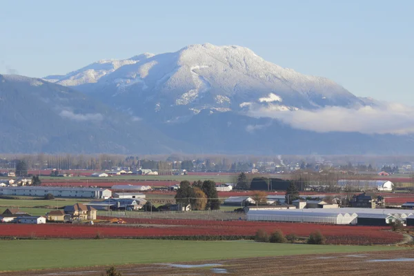 Terres agricoles Valley — Photo