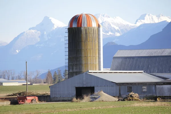 De staafkerk van de grote silo — Stockfoto