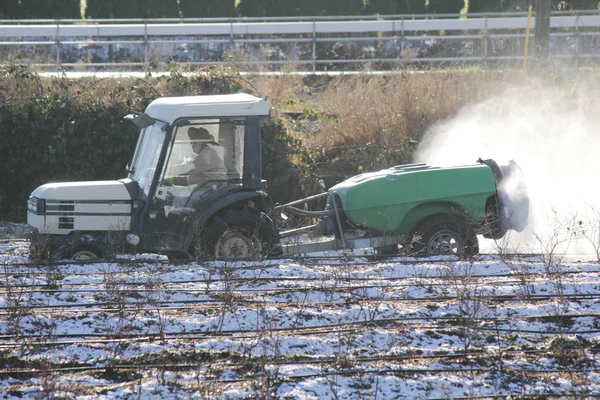 Liming the Field — Stock Photo, Image