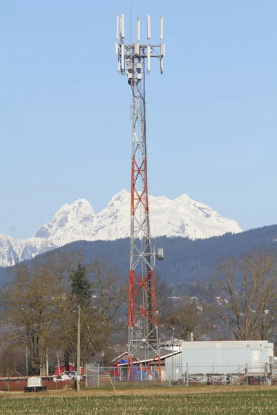 Torre a microonde nell'area rurale — Foto Stock