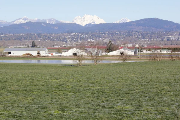 Východ fraser valley zemědělské půdy — Stock fotografie