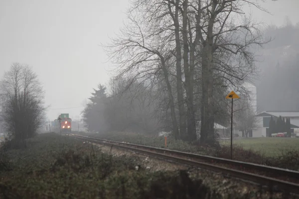Un treno e nebbia — Foto Stock
