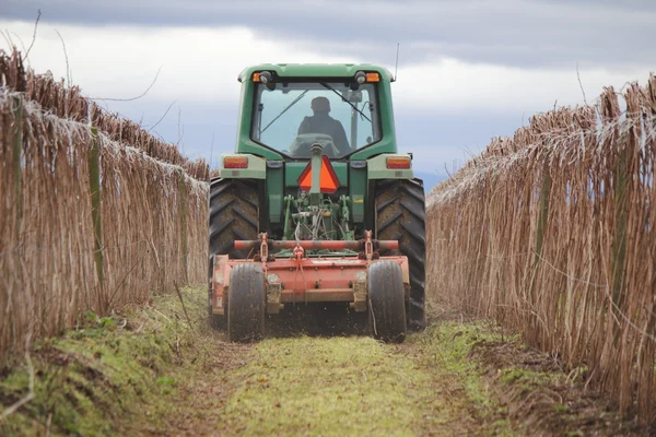 Washington Farmer Raking Crop — Stock Photo, Image