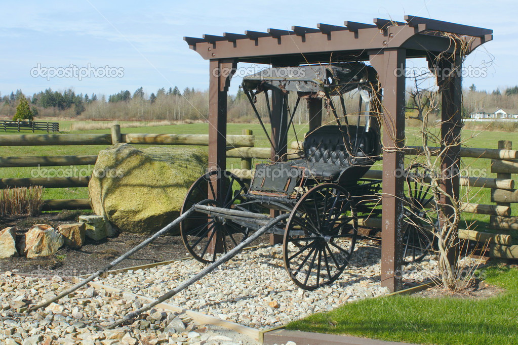 antique buggy