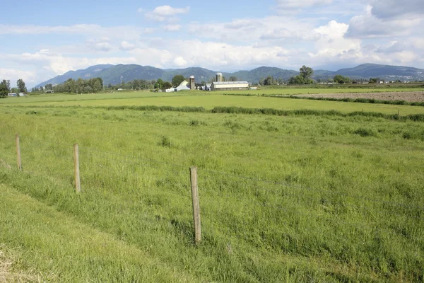 Vallei grasland — Stockfoto