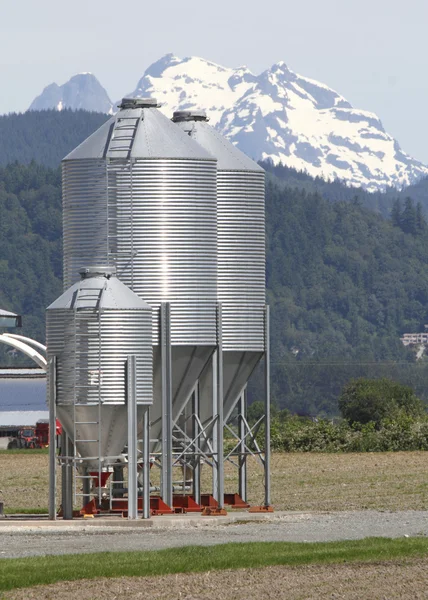 Hühnerfuttersilos — Stockfoto