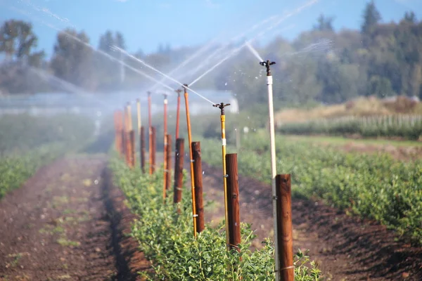 Sprinkleranlage für ländliche Flächen — Stockfoto