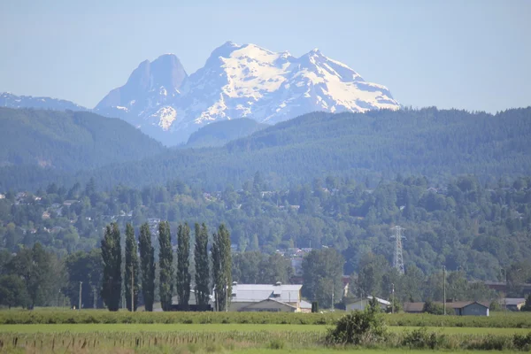 Mount Baker Washington — Stock Photo, Image
