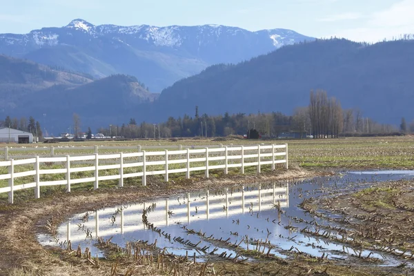 Winter landbouwgrond — Stockfoto