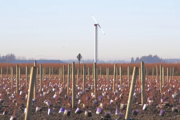 Washington vindkraftgenerator — Stock fotografie