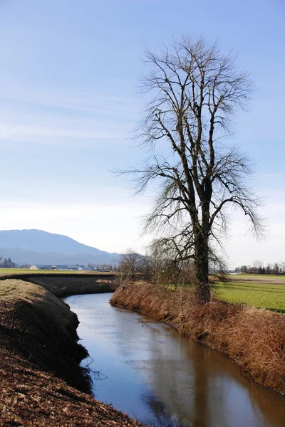 Man made Irrigation — Stock Photo, Image