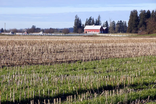 Washington rural — Fotografia de Stock