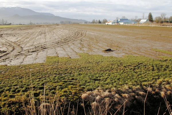 Estado Rural de Washington — Fotografia de Stock