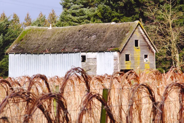 Um antigo edifício agrícola — Fotografia de Stock