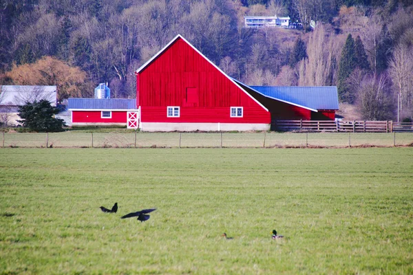 Современная ферма — стоковое фото